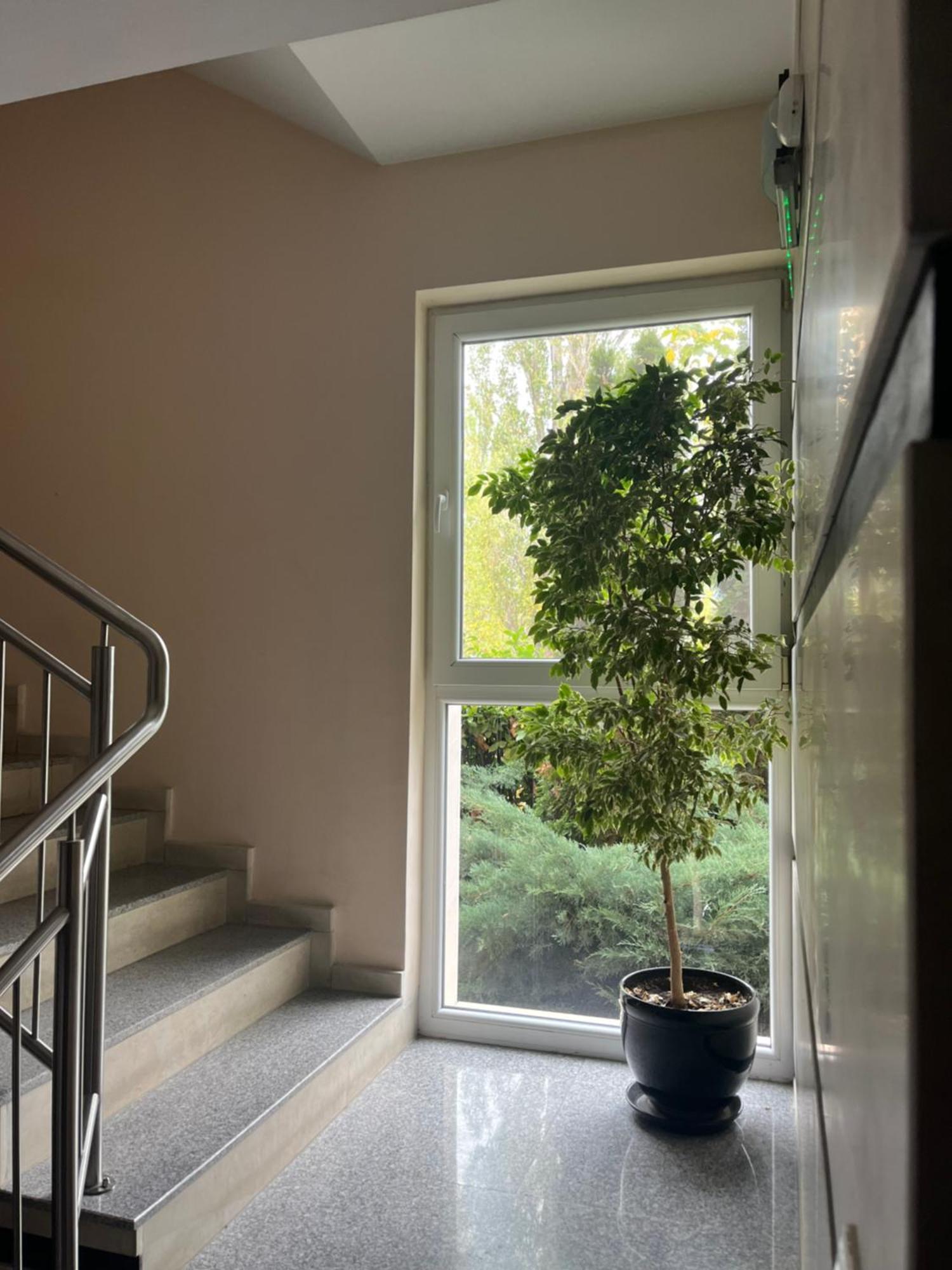 Block 531 Aparthouse Block 533 索菲亞 外观 照片
